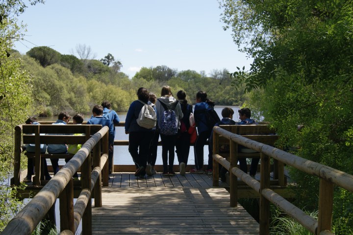 Students on a lake in a natural park
